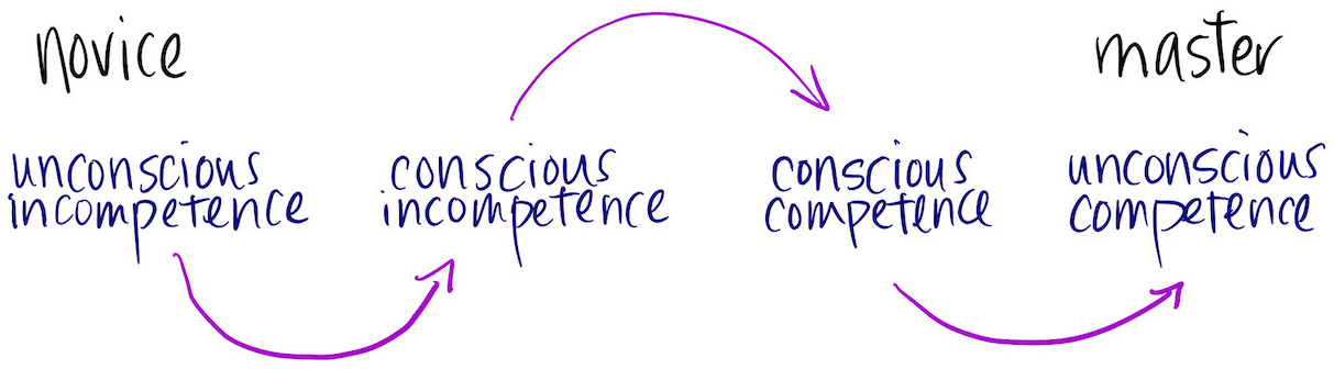 points along the continuum between novice and master