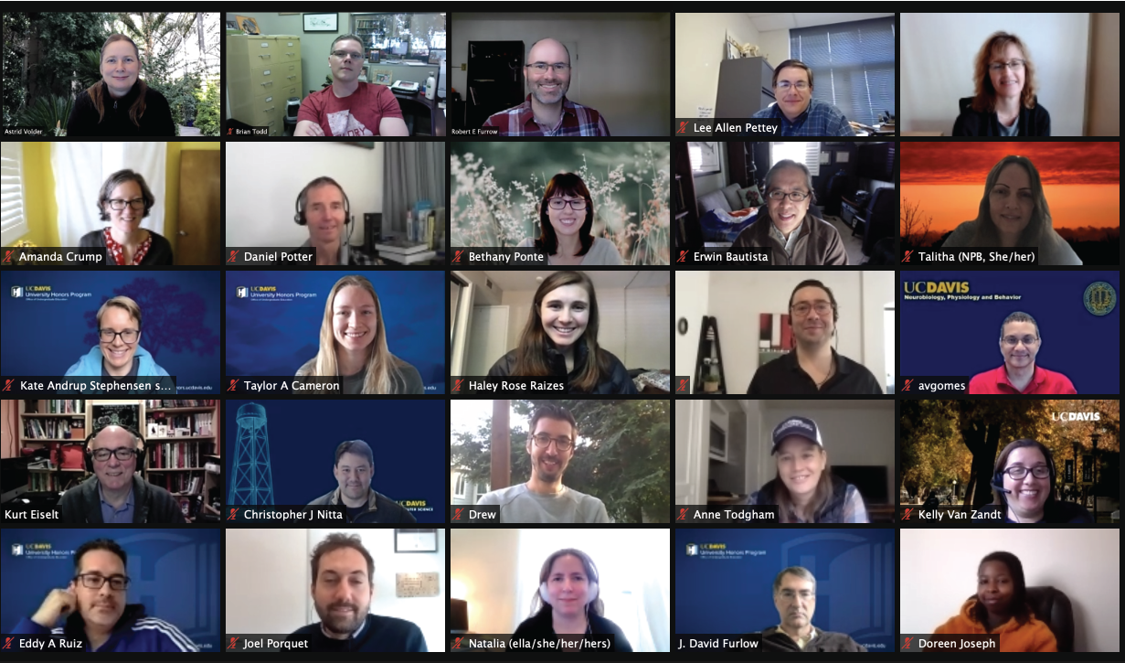 Screenshot of participants in PACE4E coaching program