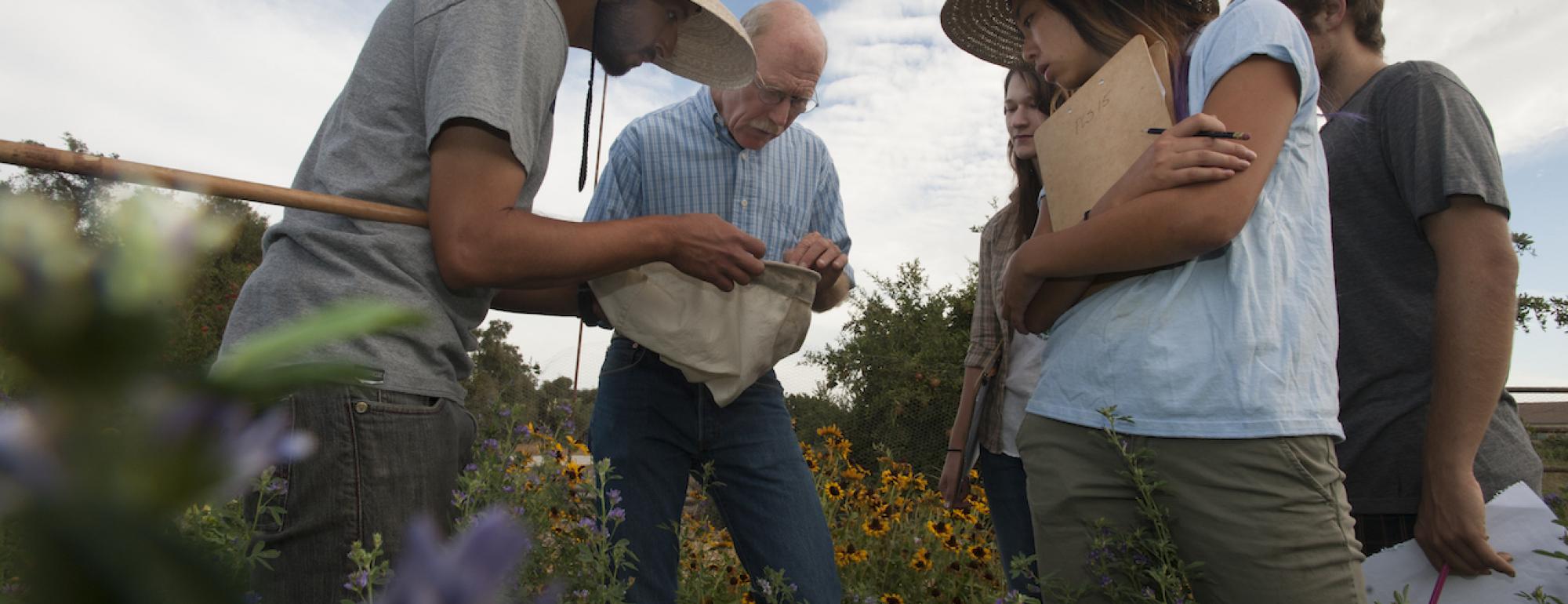 Experiential learning at the UC Davis Student Farm