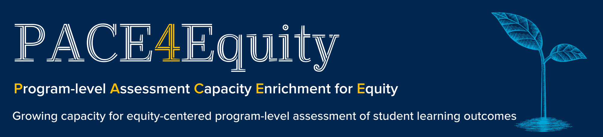 PACE4Equity - Program-level assessment capacity enrichment for equity.  Growing capacity for equity-centered program-level assessment of student learning outcomes.